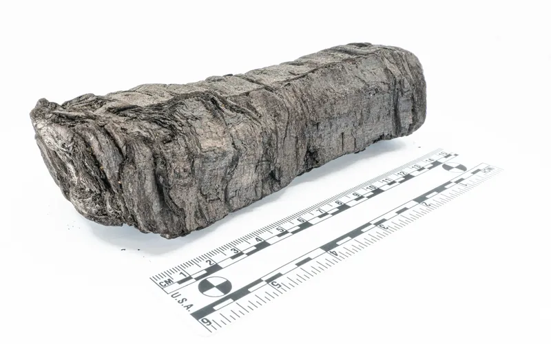 AI Just Unlocked A 2,000-Year-Old Scroll And I'm Losing It